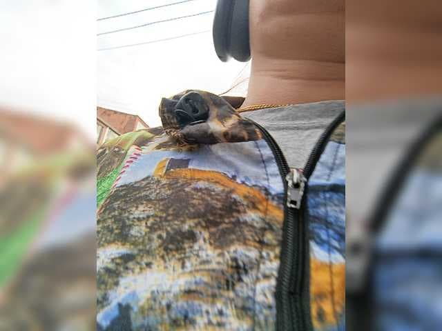 Cocochanell live cam