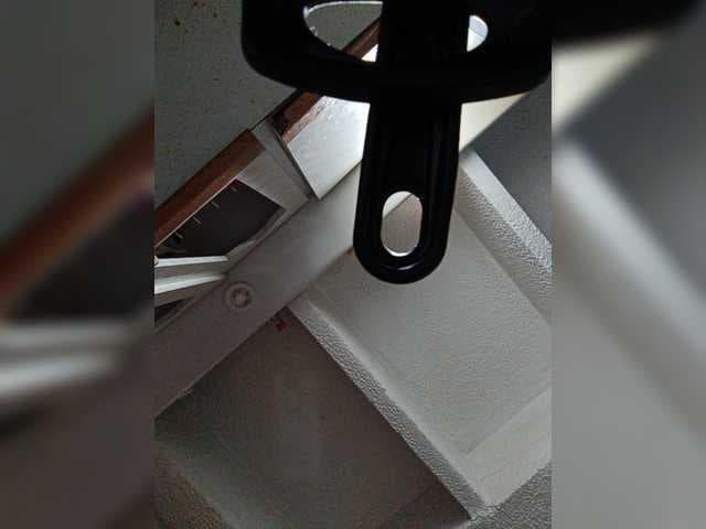 Cocochanell live cam