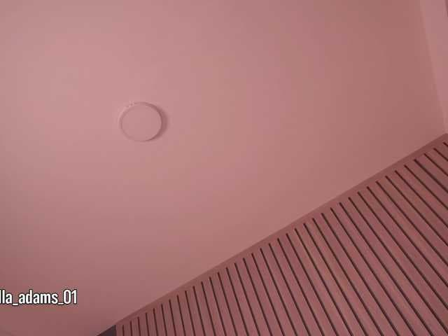 bella-adams live cam