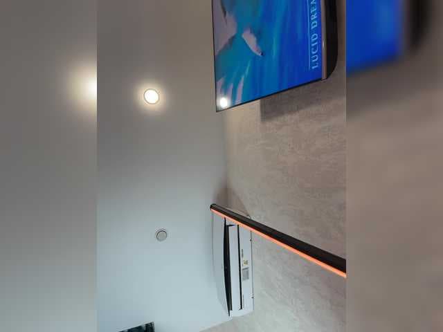 _Ellidi_ live cam