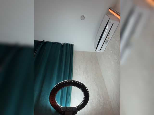 _Ellidi_ live cam