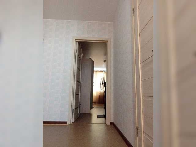 Vetka-konfetka live cam