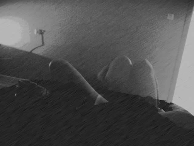 WoWMe live cam