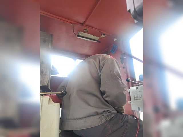 Maybus live cam