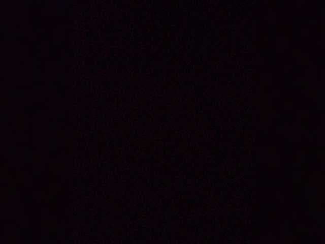 Maybus live cam