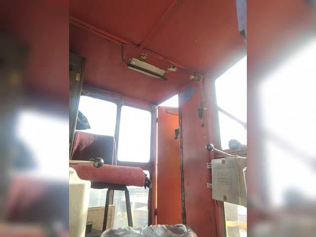 Maybus live cam