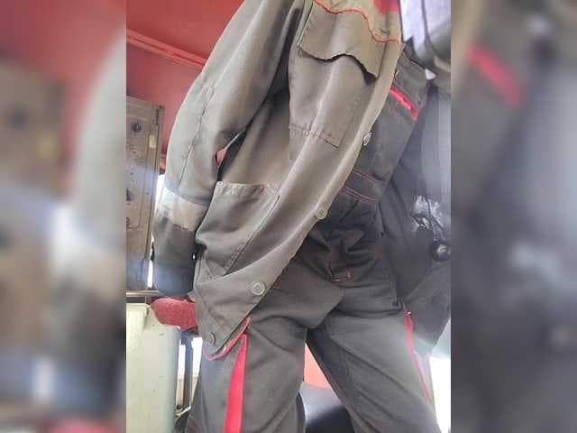 Maybus live cam