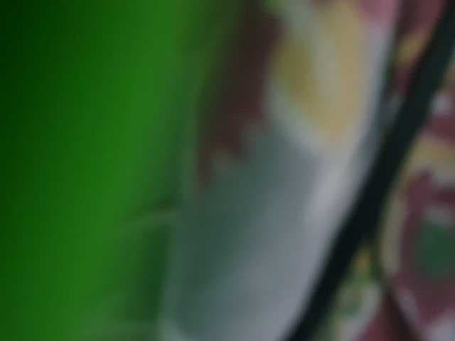 bomvemcam live cam