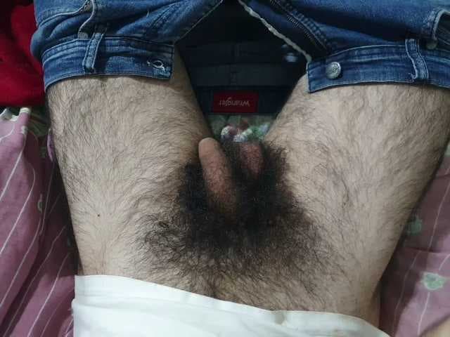 bomvemcam live cam