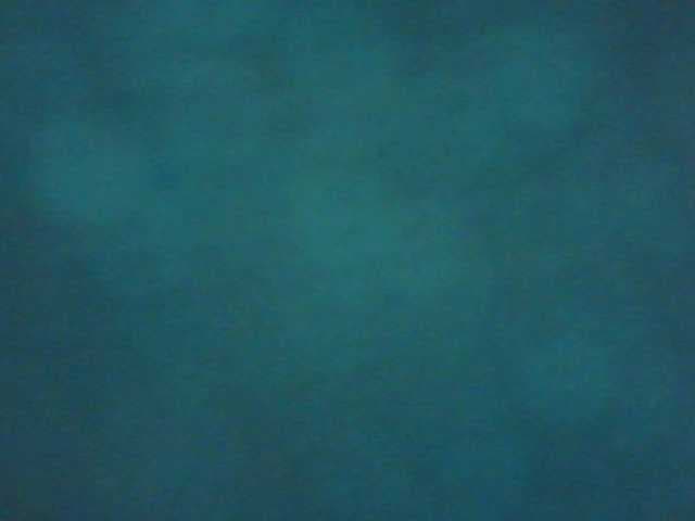 Zlaya_Mama_super live cam