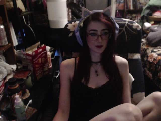 pussyxpaladin live cam