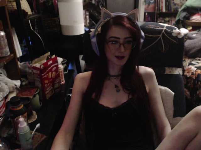 pussyxpaladin live cam