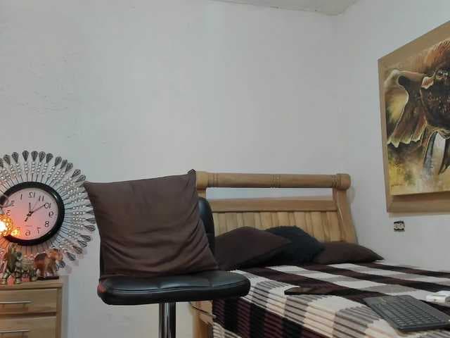 mr-stiven1 live cam