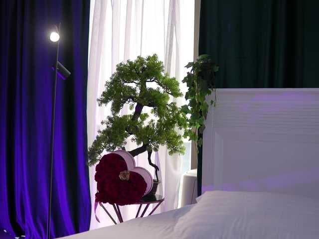 ArtTeasee live cam
