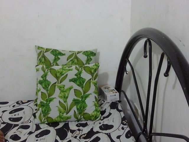 Bunnygreen live cam