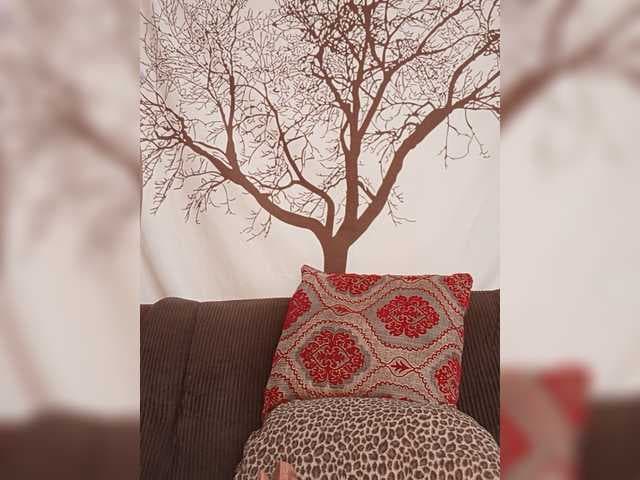 BEENCEE live cam
