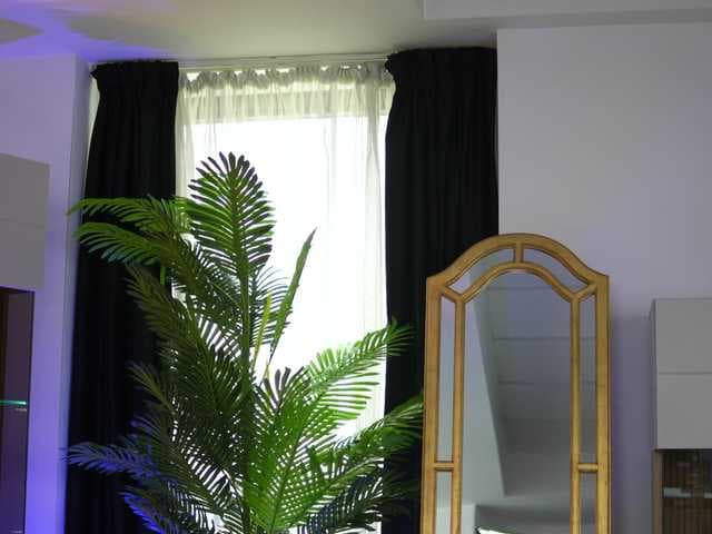 ZenyaNoir live cam