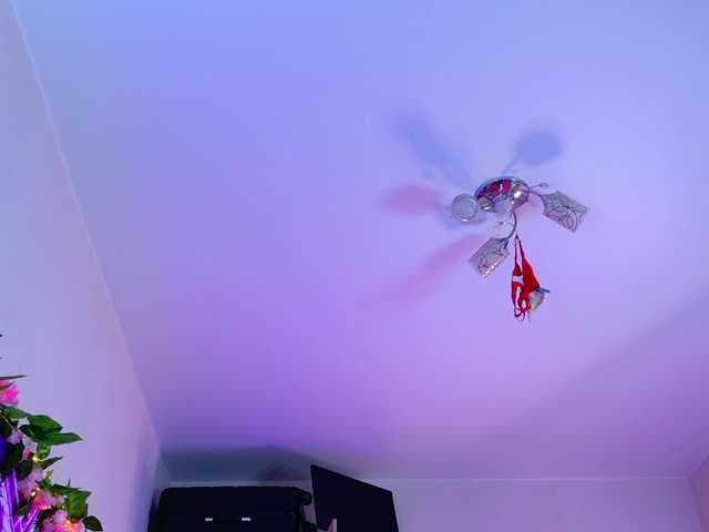 Night-angell live cam