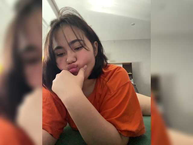 Nosikk live cam