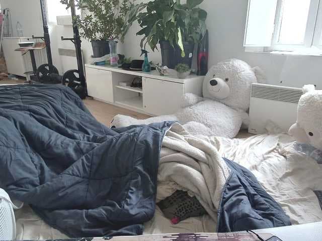 Ceriselapine live cam