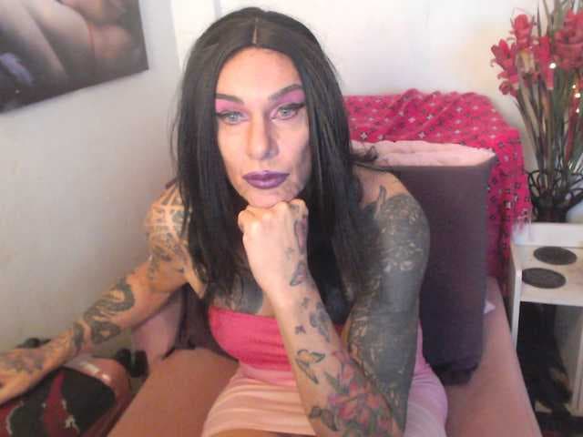 Transagera live cam
