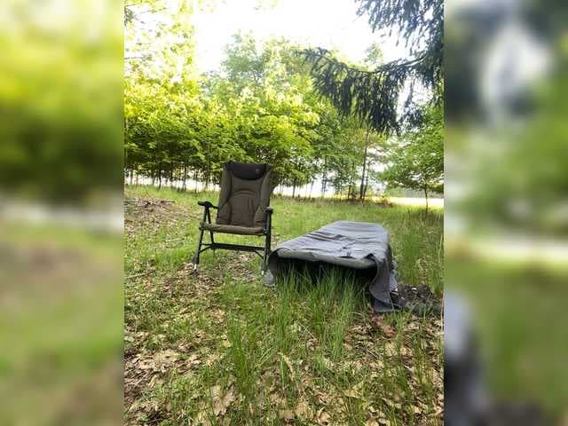 Lionela live cam