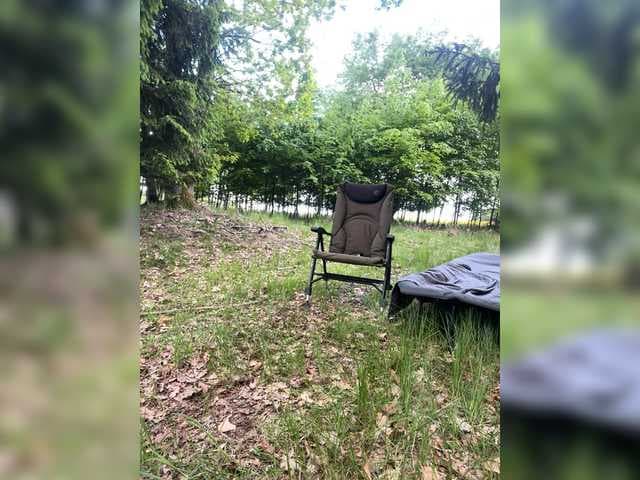 Lionela live cam