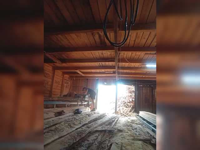 Zebat1231 live cam