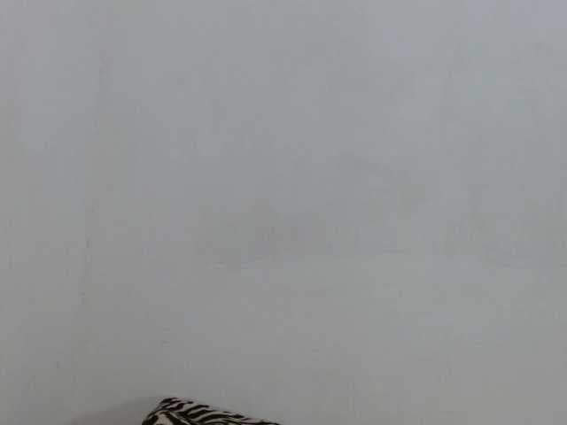 tiffanny-smith live cam