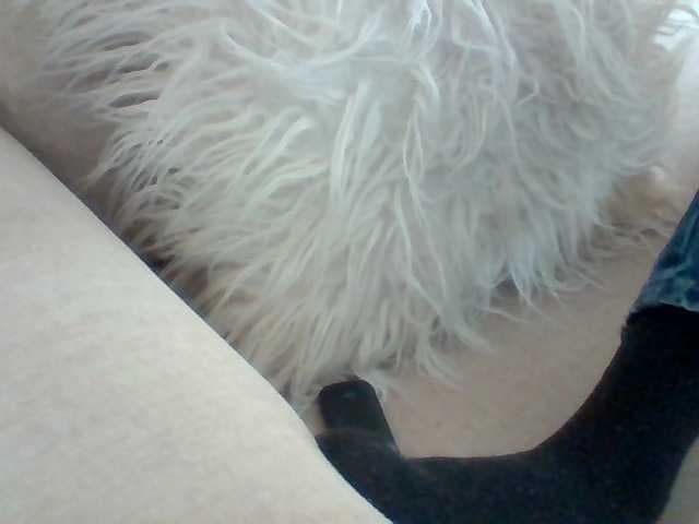 Juanitamami live cam