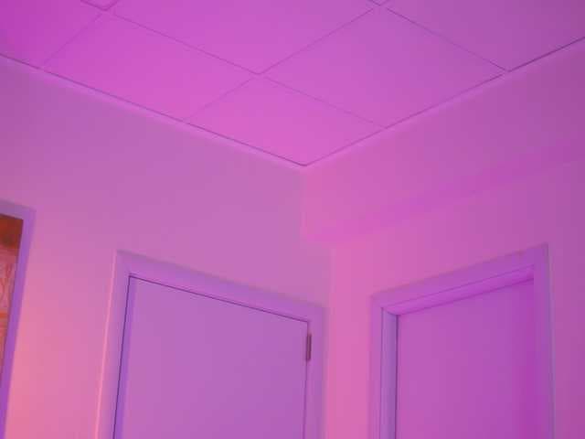 BlackCloverX live cam