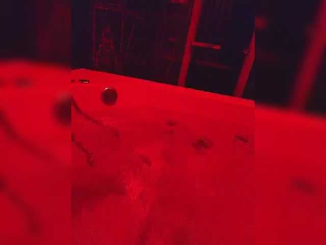 gafs-br0thers live cam