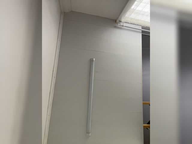 Alfaredmm live cam
