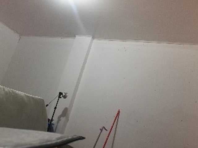 TransElfenungehindert live cam