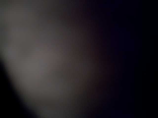 nktraderx live cam
