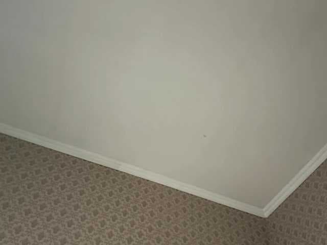 IvoryKranz live cam