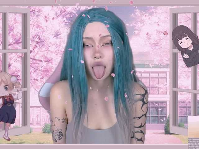 DragonFlya live cam