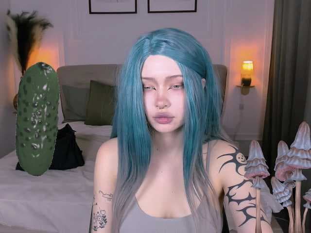 DragonFlya live cam