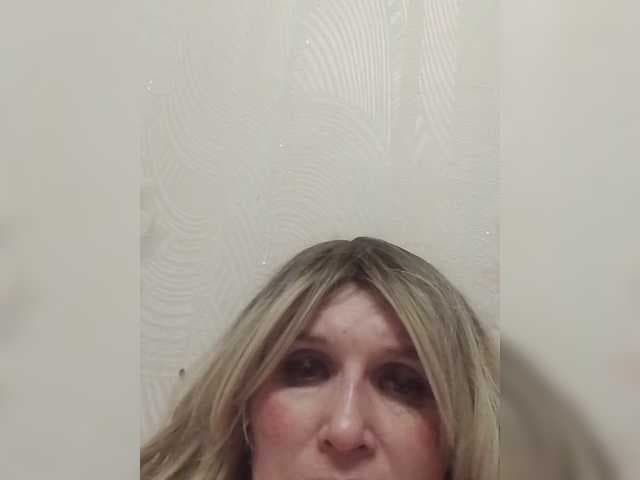 Kolibrii live cam