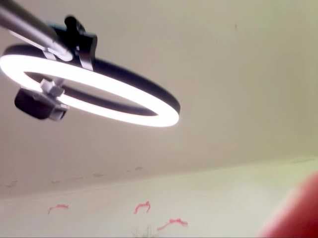 AuroreCappel live cam