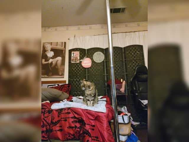 PrurientGem live cam on BongaCams