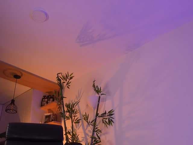 JessicaPratt live cam on BongaCams