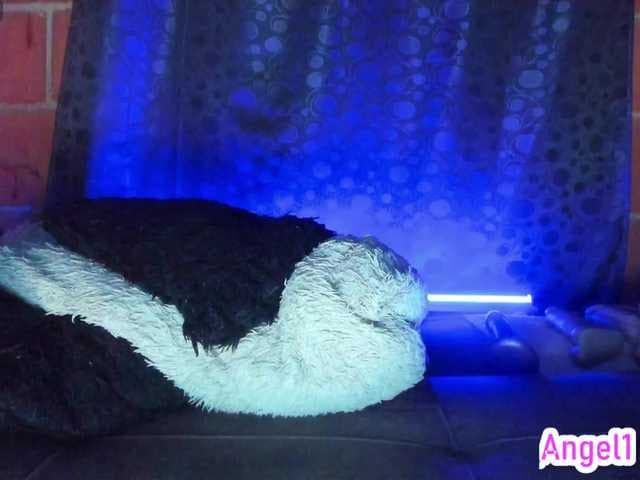 cata-anngel live cam