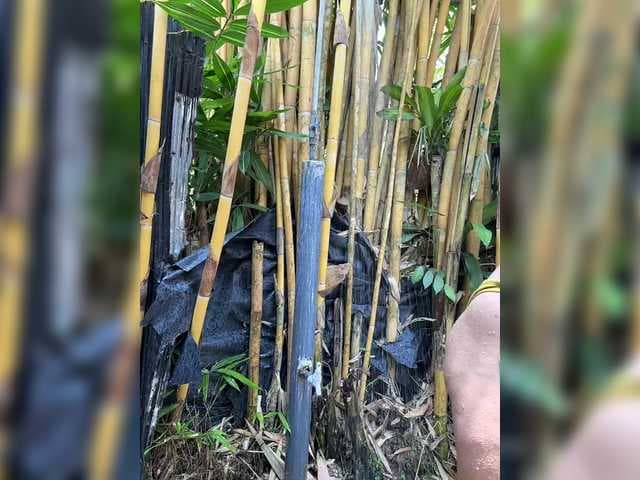 KinaMoonLove live cam