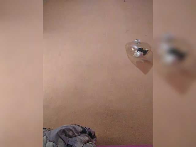 chachachocolate live cam