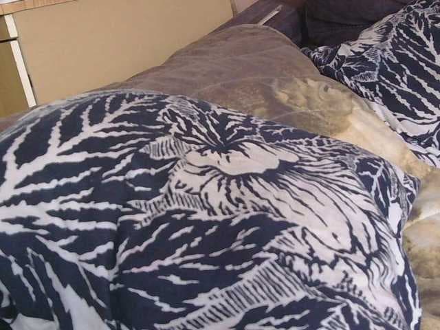 Ornotores_wers live cam