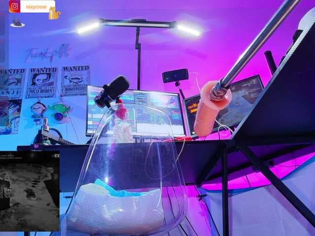 Nixycrow11 live cam