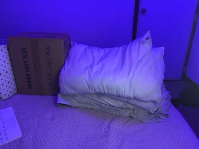 sofilasanta live cam