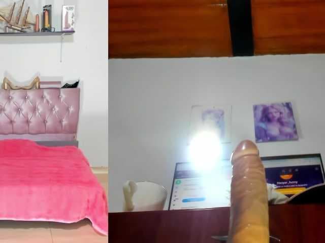 harperfunny1 live cam