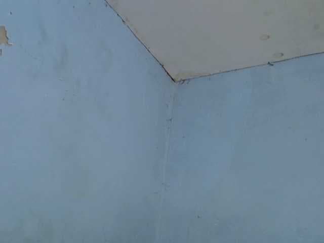 GoldenGoddess1 live cam